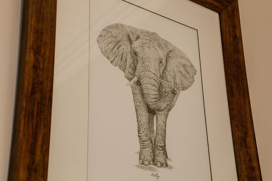 Knysna Elephant Park Lodge Plettenberg Bay Esterno foto