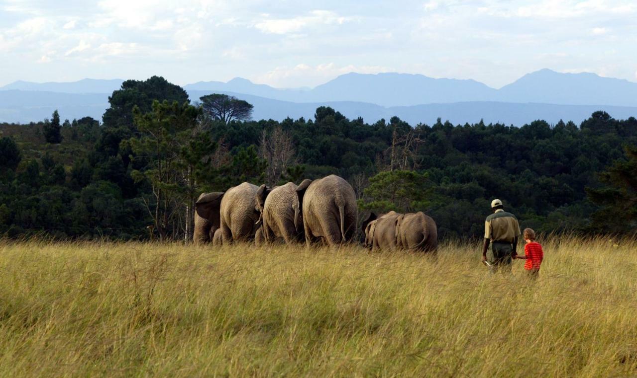 Knysna Elephant Park Lodge Plettenberg Bay Esterno foto