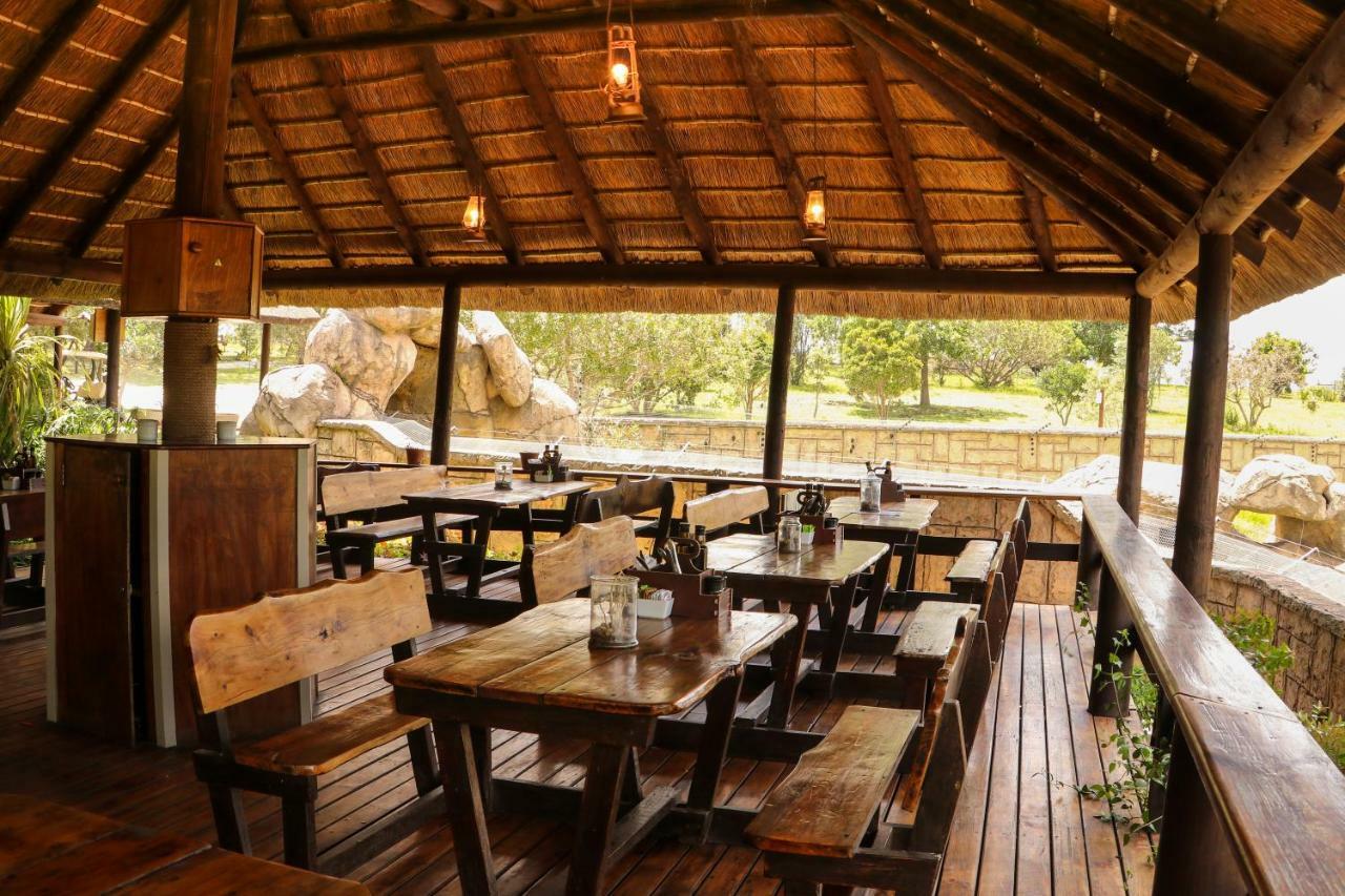 Knysna Elephant Park Lodge Plettenberg Bay Esterno foto